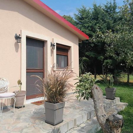 Tiny House By The Sea Villa Nea Skioni Exterior foto